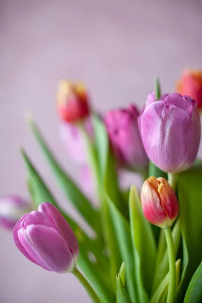 Frischer Frühlingsstrauß Aus Rosa Und Orangen Tulpen Auf Texturhintergrund Konzept — Stockfoto