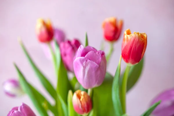 Frischer Frühlingsstrauß Aus Rosa Und Orangen Tulpen Auf Texturhintergrund Konzept — Stockfoto