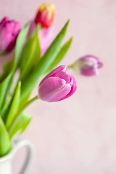 Frischer Frühlingsstrauß Aus Rosa Und Orangen Tulpen Auf Texturhintergrund Konzept — Stockfoto