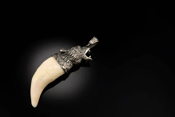 Boynunda büyük oyma doğal süslemeler, tılsım, kolye, ayı dişinden yapılmış kolye, mamut dişi, gümüş aksesuarlı deniz aygırı kemiği. Mücevherler siyah arka planda. Metin için boşluk.
