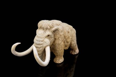 Fildişi mamut heykelciği siyah arkaplanda yansımalı. Eski kemikten bir oymayla oyulmuş. İç mekan için otantik dekoratif figür.