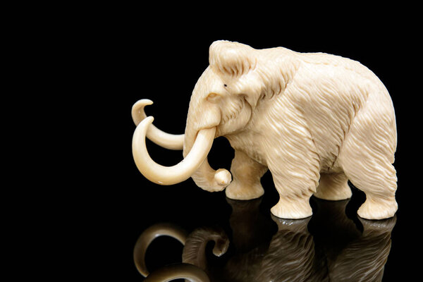 ivory statuette of elephant mammoth on black background with reflection. carved with a gouge from old bone. authentic decorative figure for interior.