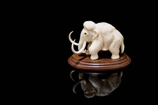 ivory statuette of elephant mammoth on black background with reflection. carved with a gouge from old bone. authentic decorative figure for interior.