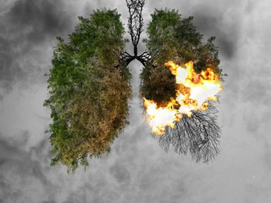 Ciğerlerin soyut silueti. Ağaçlar gezegenin akciğerleridir. Hava kirliliği. Doğaya zarar vermek. Ekolojik kavram. Ağaç dalı. Zatürree ve bronşit kavramı.