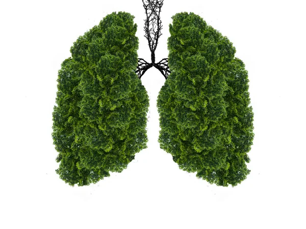 Abstrakcyjna Sylwetka Płuc Białym Tle Drzewa Płucami Planety Oczyszczanie Powietrza — Zdjęcie stockowe