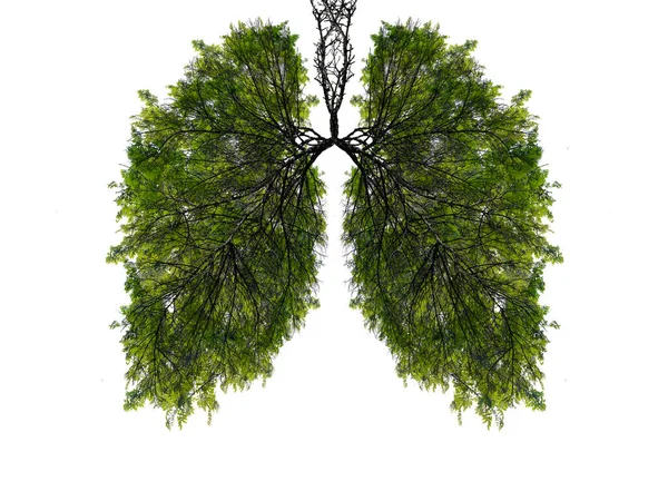 Abstract Silhouette Lungs White Background Trees Lungs Planet Air Purification — Stock Photo, Image