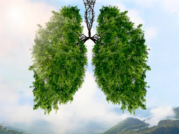 Sylwetka Płuc Tle Górskiego Krajobrazu Drzewa Płucami Planety Oczyszczanie Powietrza — Zdjęcie stockowe