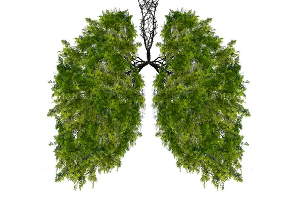 Abstract Silhouette Lungs White Background Trees Lungs Planet Air Purification — Stock Photo, Image