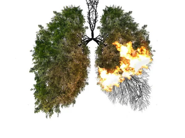 Abstract Silhouette Lungs White Background Trees Lungs Planet Air Pollution — Stock Photo, Image