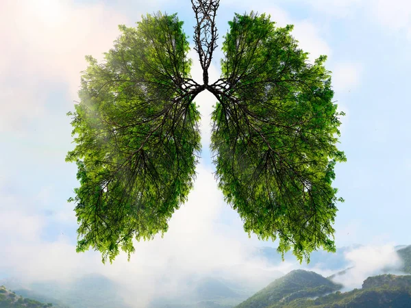 Sylwetka Płuc Tle Górskiego Krajobrazu Drzewa Płucami Planety Oczyszczanie Powietrza — Zdjęcie stockowe