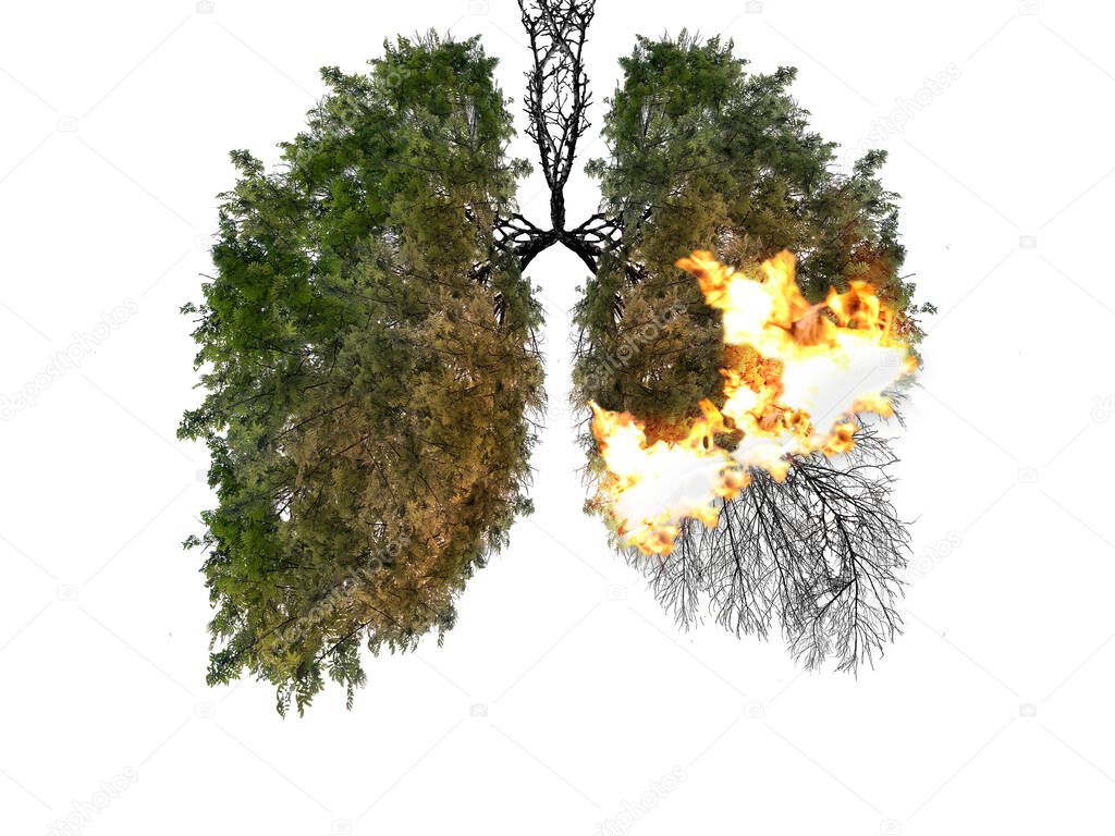 Abstract silhouette of lungs on a white background . Trees are the lungs of the planet. Air pollution. Harm to nature. Ecological concept. Tree branch. The concept of pneumonia and bronchitis.