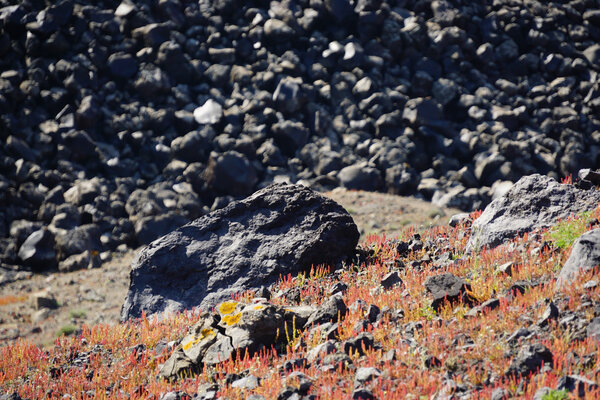 Скалы на острове Неа Камени недалеко от Санторини, Киклады, Греция
