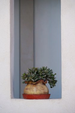 Tipik Yunan vazo ile sulu, Santorini.