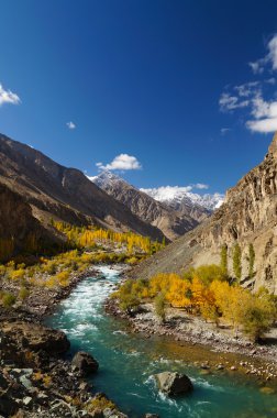Güzel Ghizer Vadisi kuzey Pakistan
