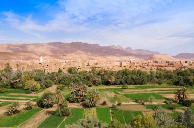 Beautiful oasis in Tineghir,Morocco clipart