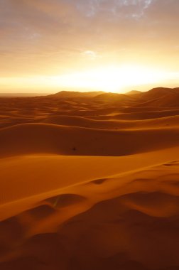 Sahara desert at sunrise  clipart