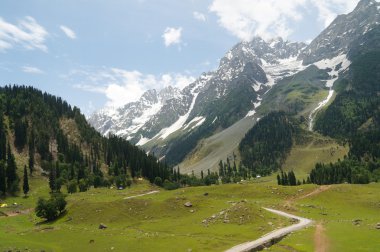 Hill ve Sonamarg, dağda güzel landscpae ben