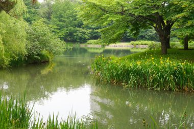 Nakajima Bahçe sabah, sapporo