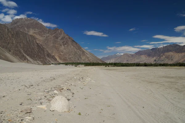 Έρημος μερίδα στο "hunder" στο leh, ladakh, Ινδία — Φωτογραφία Αρχείου