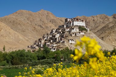 Chemrey monastery against deep blue sky in Ladakh clipart