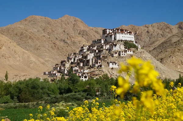 Mosteiro de Chemrey contra o céu azul profundo em Ladakh — Fotografia de Stock
