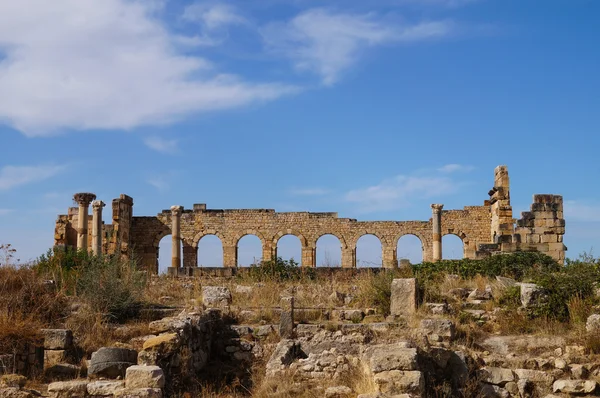 Roman volubilis no Marrocos — Fotografia de Stock