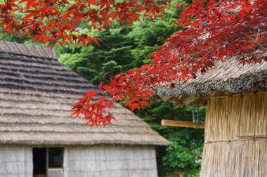 Shiraoi Aynu Müzesi Porotokotan Hokkaido'da diyor
