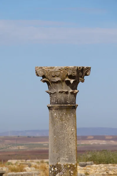 Volubilis - romerska basilikan ruinerna i Marocko — Stockfoto