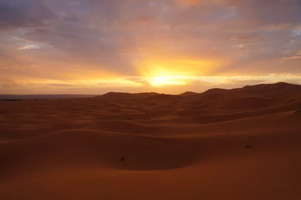 Desierto del Sahara al amanecer en Marruecos — Foto de Stock