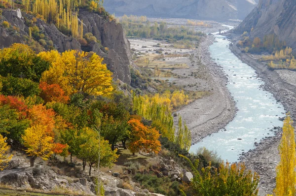 Beautiful trees and river in Northern Pakistan — Stock Photo, Image