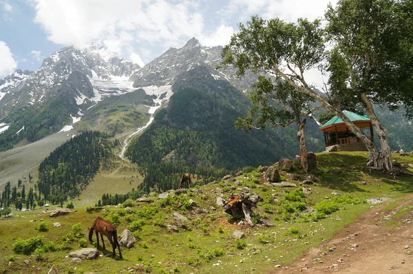 Hermosa vista de Sonamarg en Cachemira, India — Foto de Stock