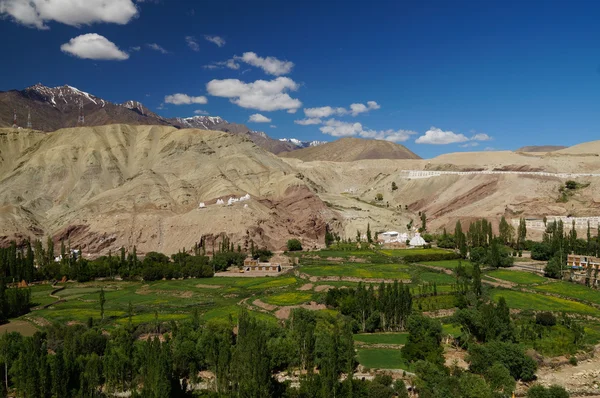 Beautiful view from Basgo Monastery in Ladakh, India — Stock Photo, Image