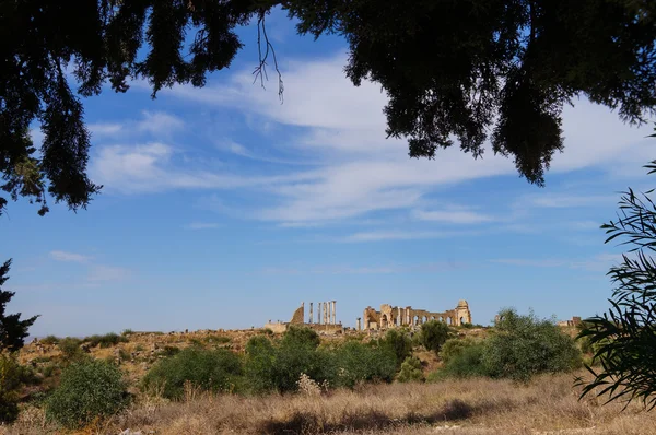 Volubilis Fas en iyi korunmuş Roma site olduğunu — Stok fotoğraf