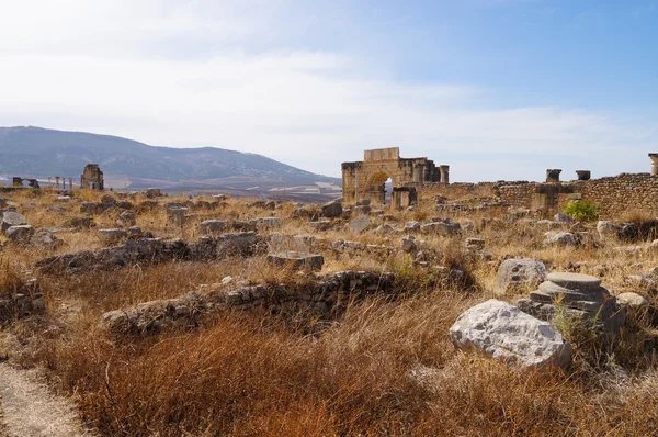 Volubilis - Ruinas de la basílica romana en Marruecos — Foto de Stock