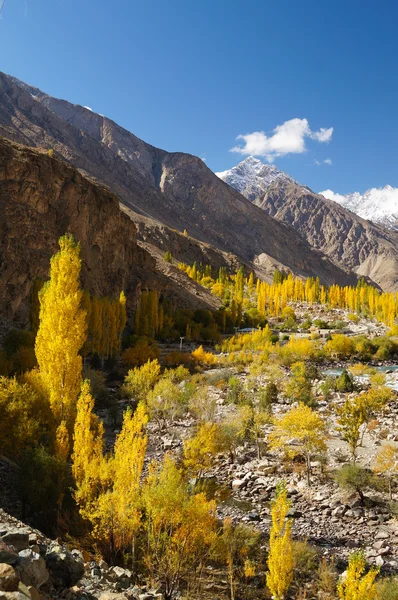 Hermoso valle Ghizer en el norte de Pakistán — Foto de Stock