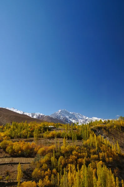 Prachtige uitzicht op de berg en blauwe hemel in de herfst, Noord-Pakistan — Stockfoto