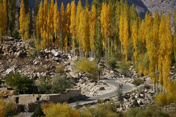 Beautiful Ghizer valley in Northern Pakistan — Stock Photo, Image