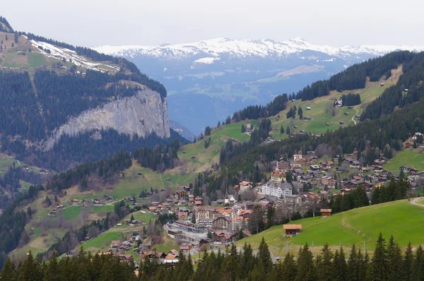 Grindelwald Village in Berner Oberland , Switzerland — Stock Photo, Image
