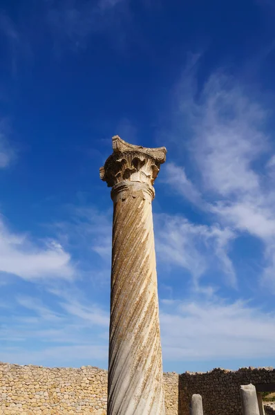 Hermosa columna en Roman Volubilis en Marruecos, África — Foto de Stock