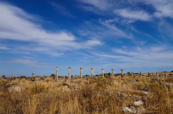 Sütunlar ve Roma Volubilis, Fas, Afrika düşmüş duvarlar — Stok fotoğraf