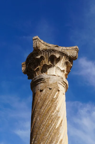 Piękny kolumna w Roman Volubilis w Maroko, Afryka — Zdjęcie stockowe