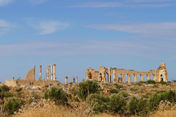 Basílica de Volubilis romana en Marruecos . — Foto de Stock