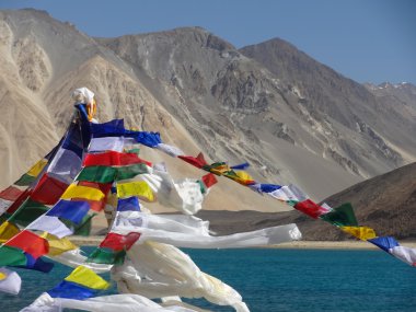Colorful  buddhist mantras decorated at bank of pangong lake in