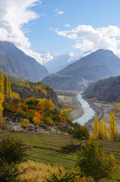 Vackra träd och river i norra Pakistan. — Stockfoto