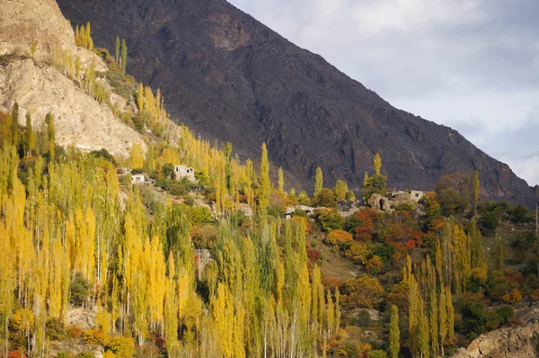 Beautiful autumn in Hunza Valley,Northern Pakistan. — Stock Photo, Image