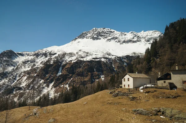 View along the way from  Switzerland to Tirano by Bernina expres — Stockfoto