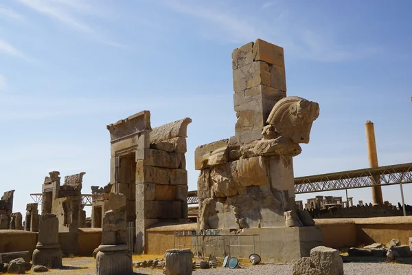 Estatua de caballo de Persépolis, Irán . — Foto de Stock