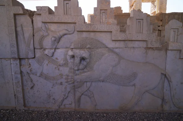 Bassorilievo di un toro e di un leone alle rovine di Persepolis a Shiraz, Iran . — Foto Stock