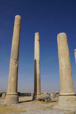 Persepolis Shiraz içinde yüz sütunların Hall parçası,
