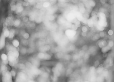 bokeh arka plan parıldıyor